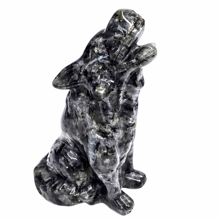 Larkivite Wolf