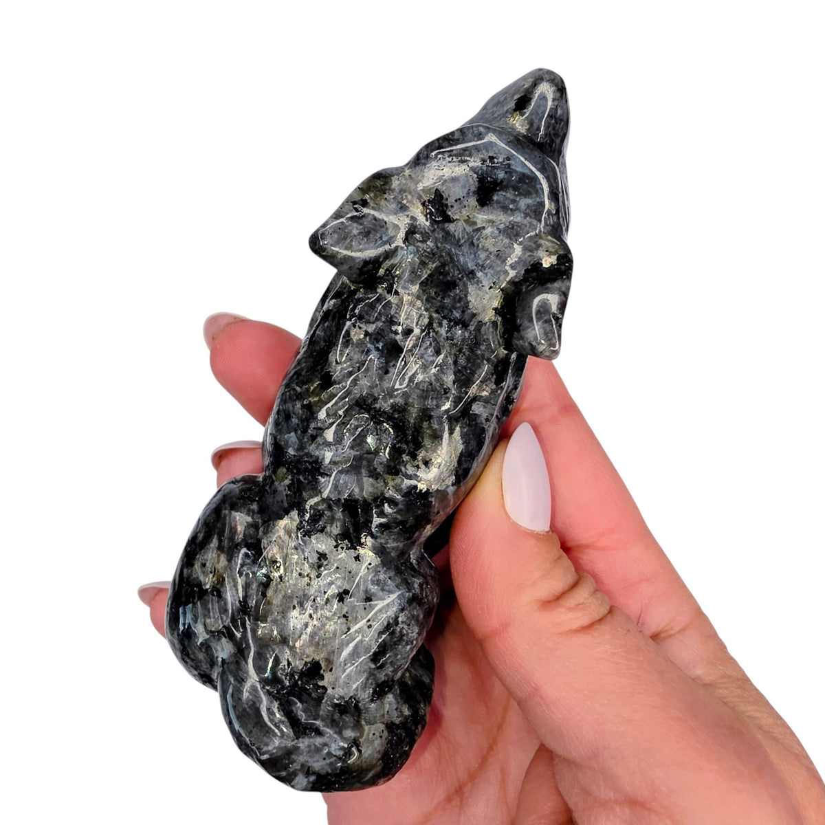 Larkivite Wolf