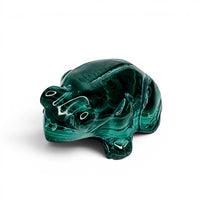 Malachite Frog