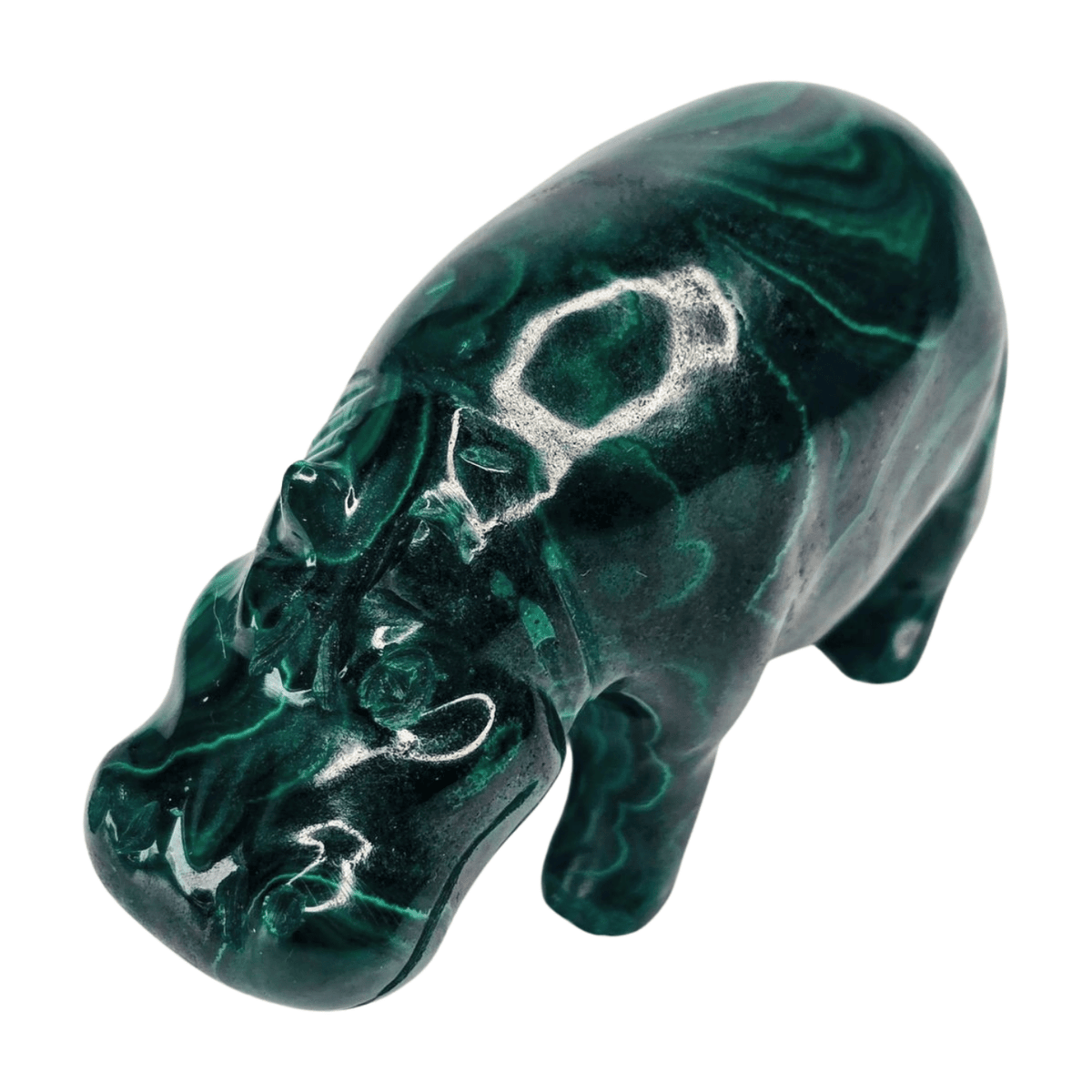 Malachite Hippo