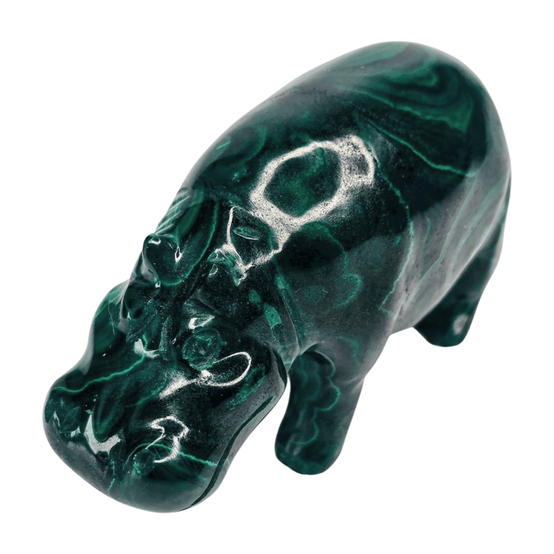 Malachite Hippo