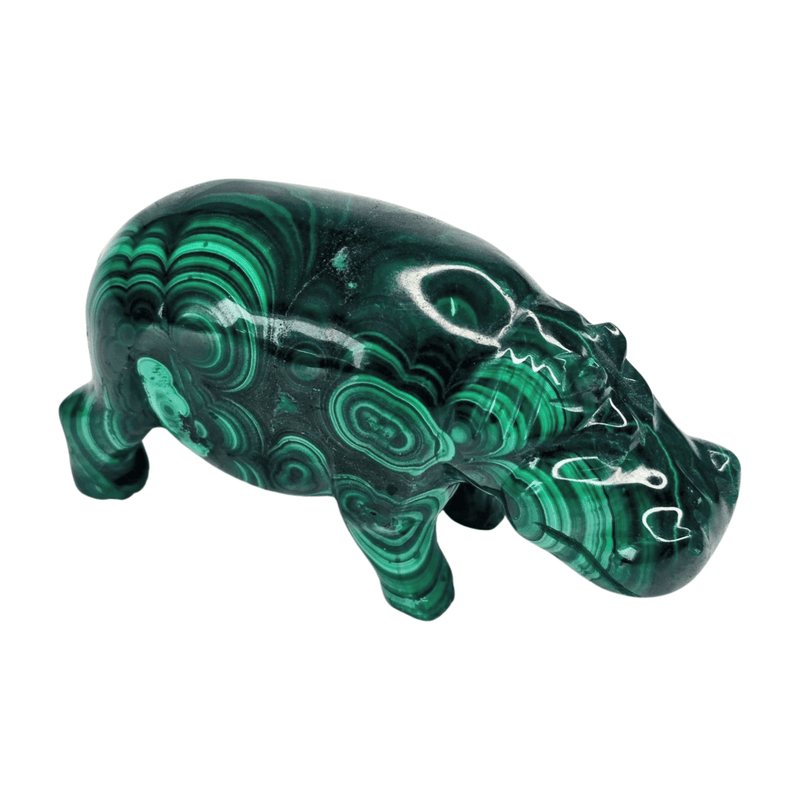 Malachite Hippo