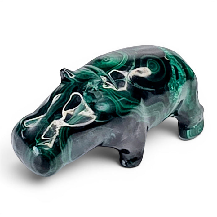 Malachite Hippo