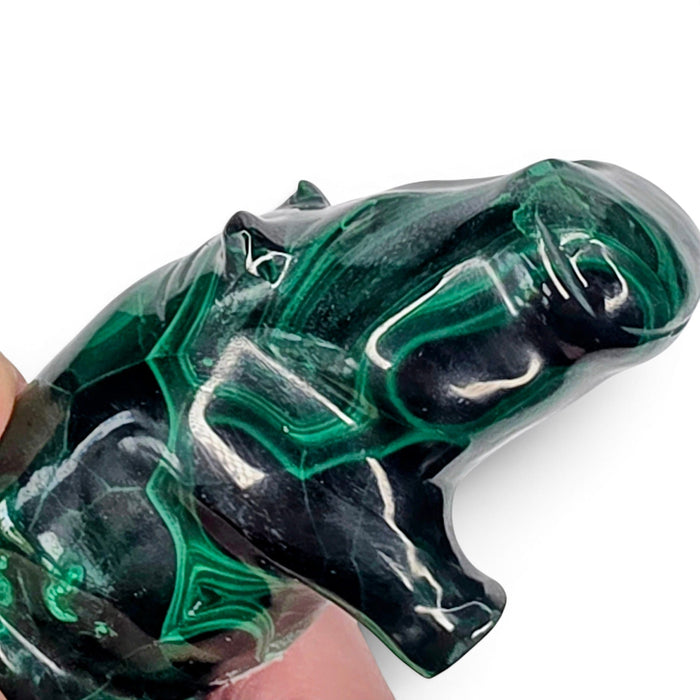Malachite Hippo