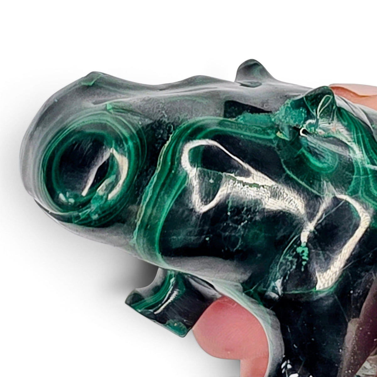 Malachite Hippo