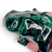 Malachite Hippo