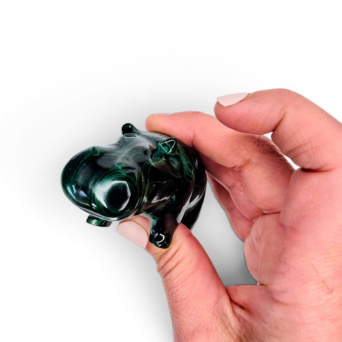 Malachite Hippo