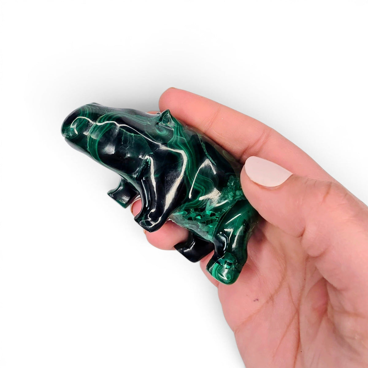 Malachite Hippo