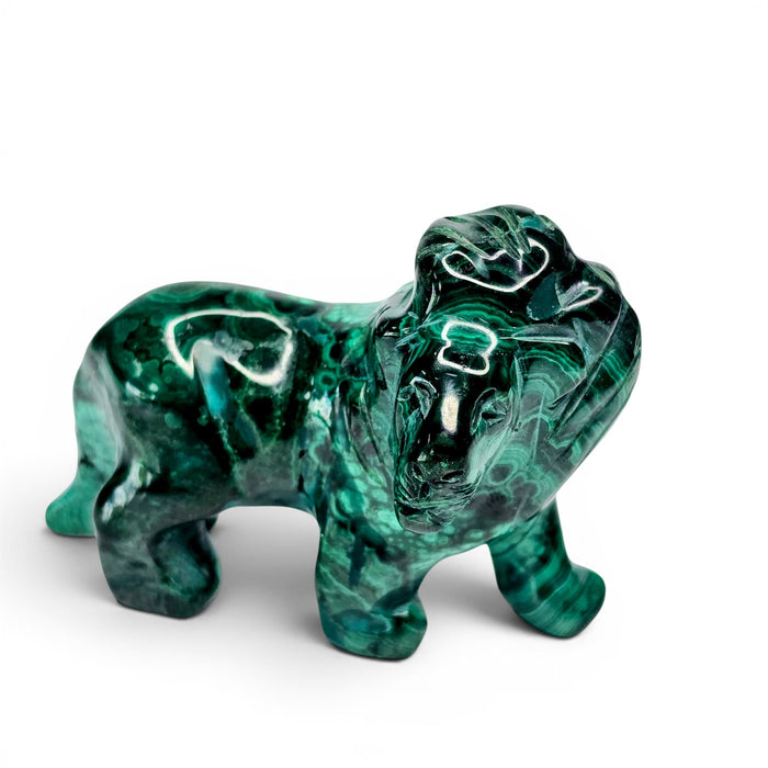 Malachite Lion