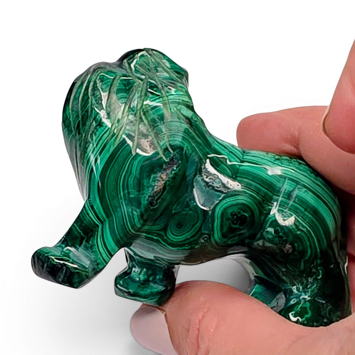 Malachite Lion
