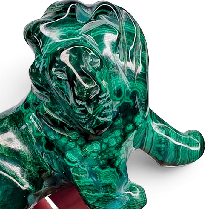 Malachite Lion
