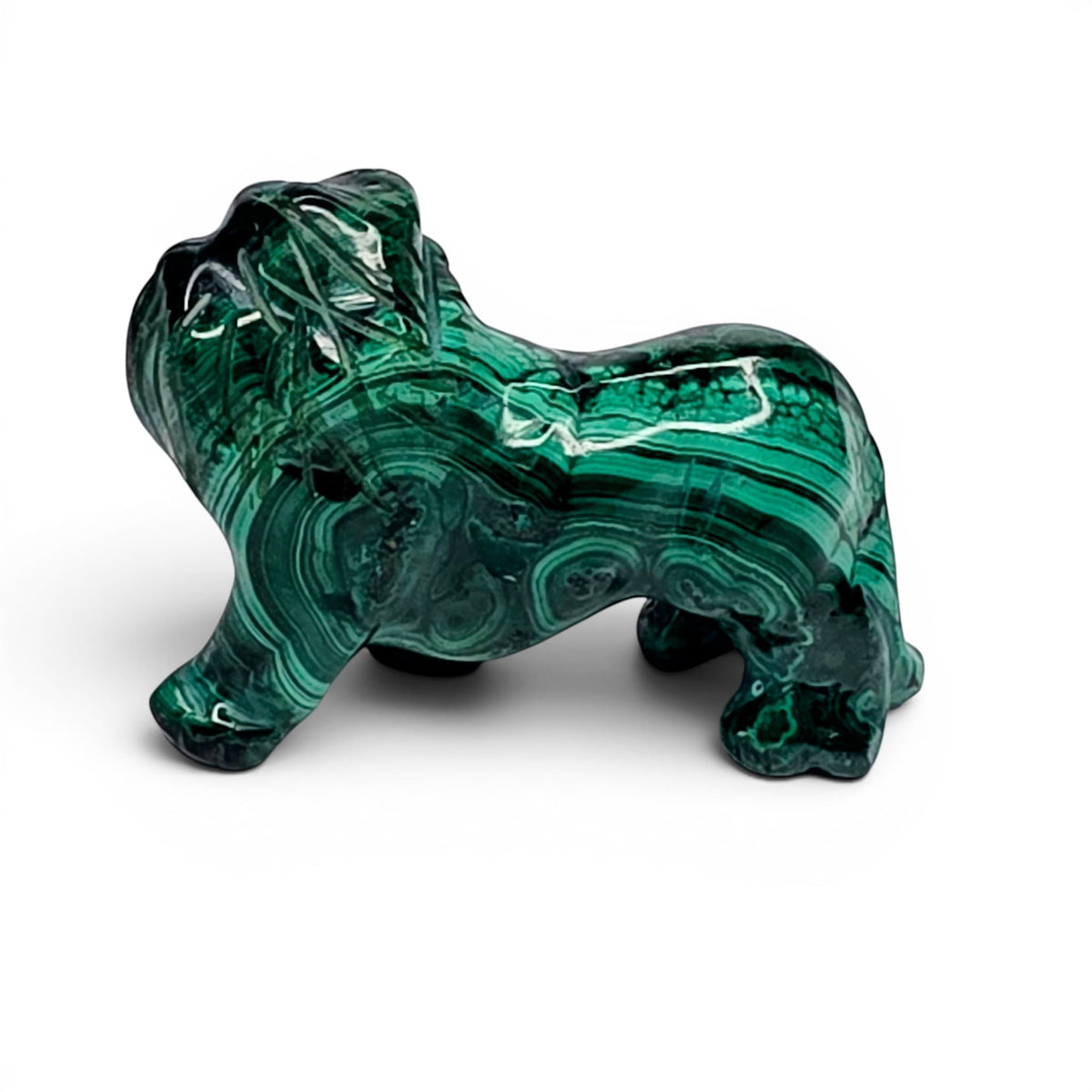 Malachite Lion