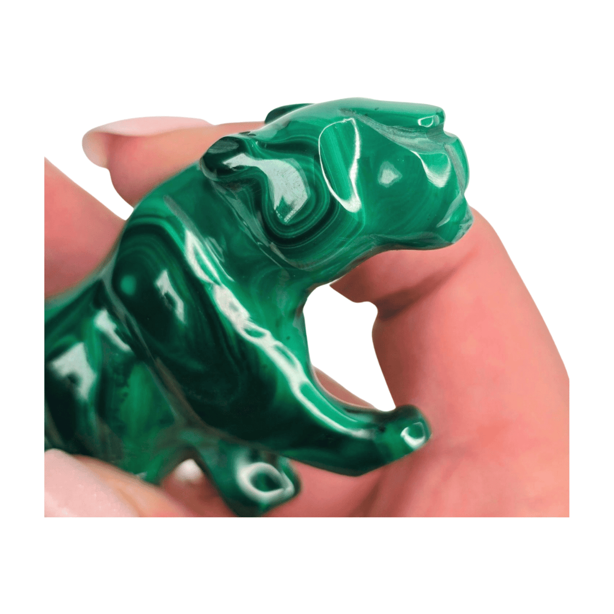Malachite Mountain Lion