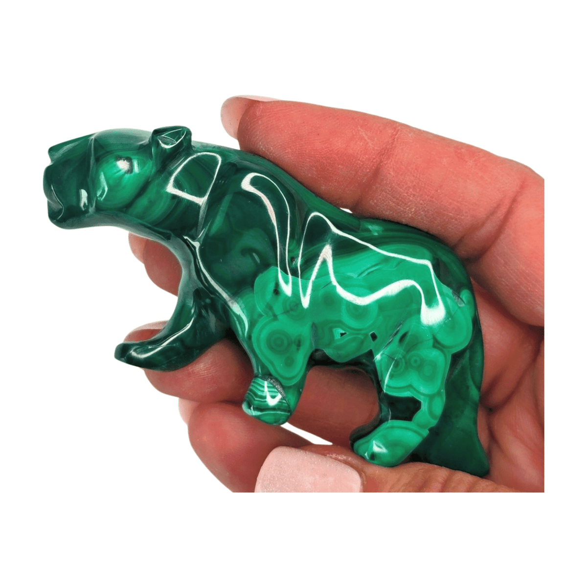 Malachite Mountain Lion
