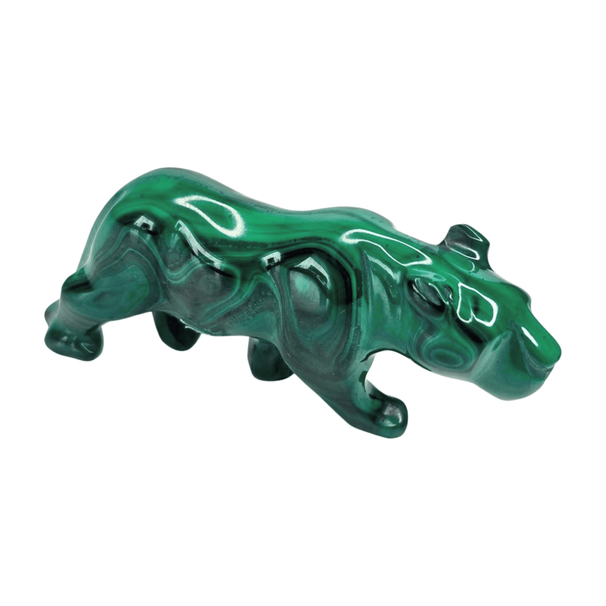 Malachite Mountain Lion
