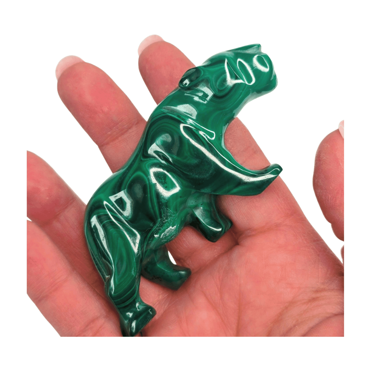 Malachite Mountain Lion
