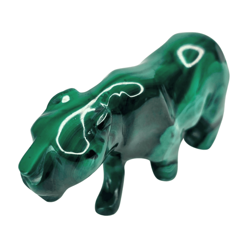 Malachite Mountain Lion