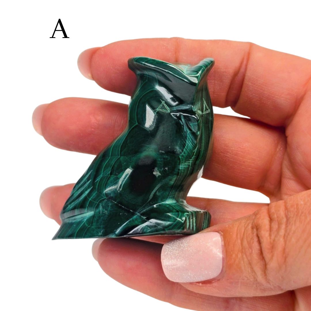 Malachite Owl