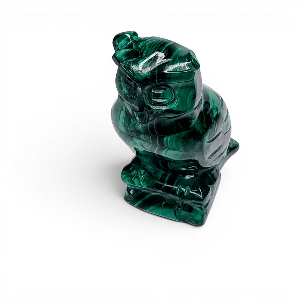 Malachite Owl