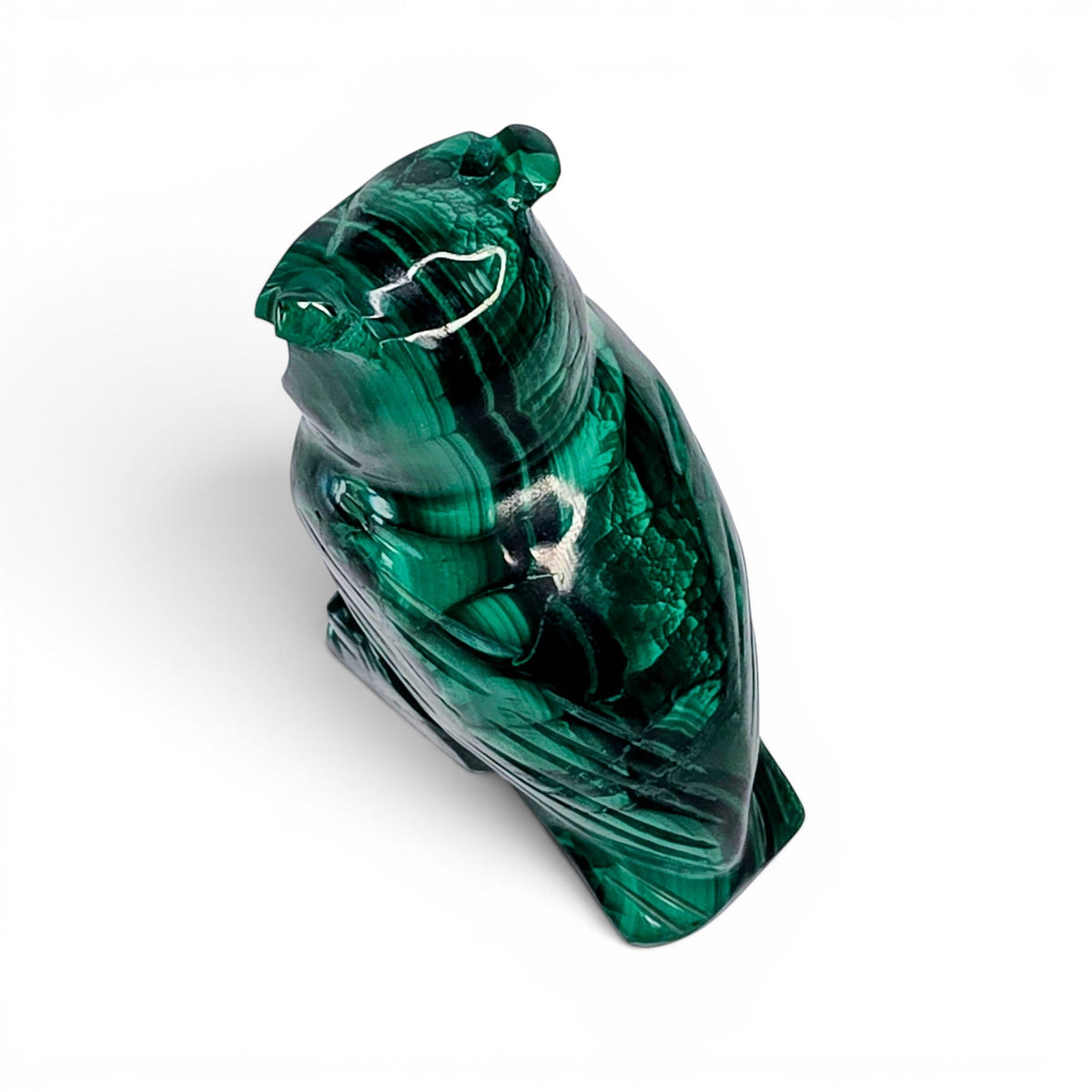 Malachite Owl