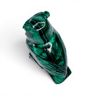 Malachite Owl