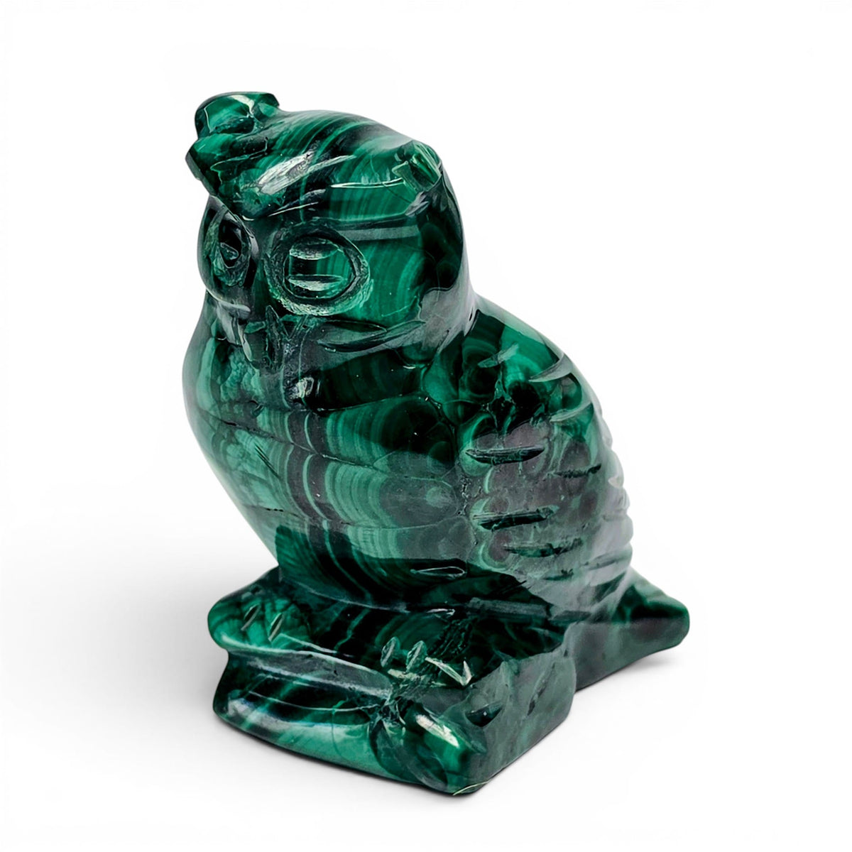 Malachite Owl