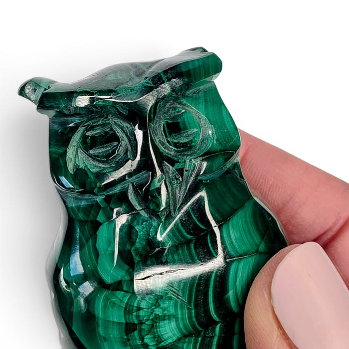 Malachite Owl