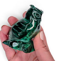 Malachite Owl