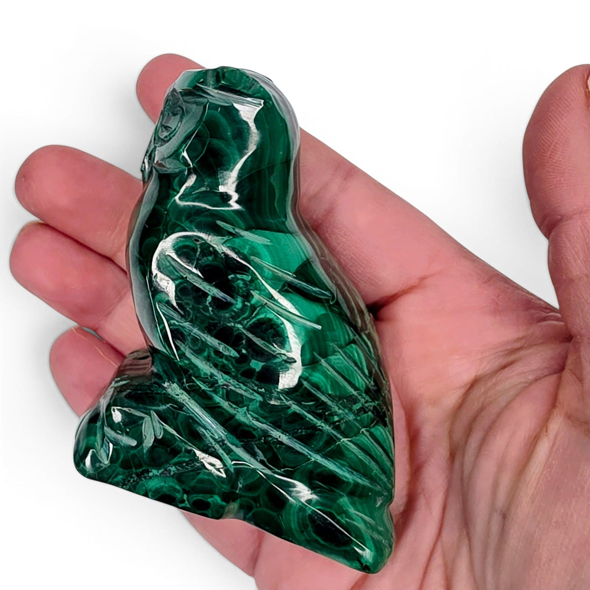 Malachite Owl