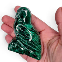 Malachite Owl