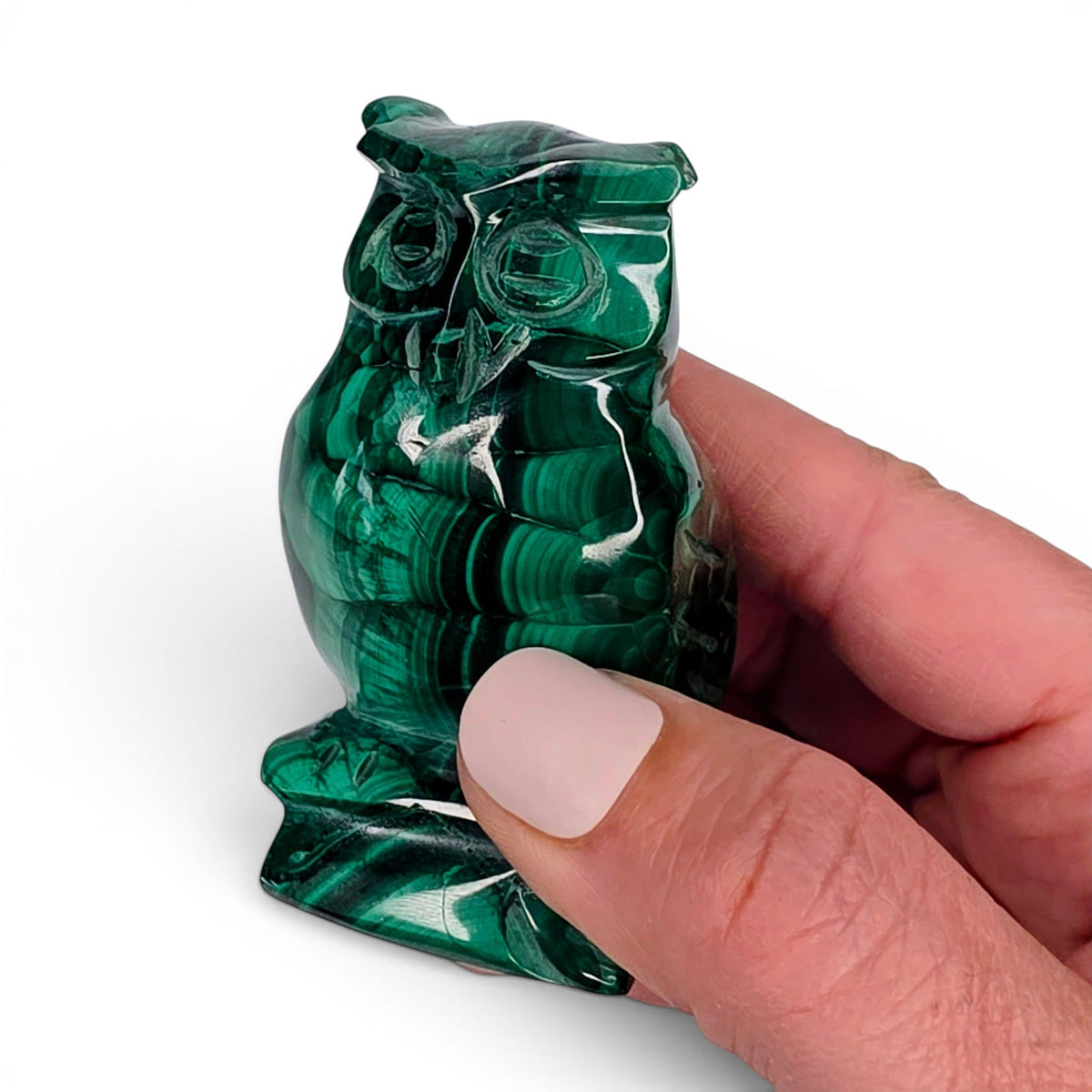 Malachite Owl