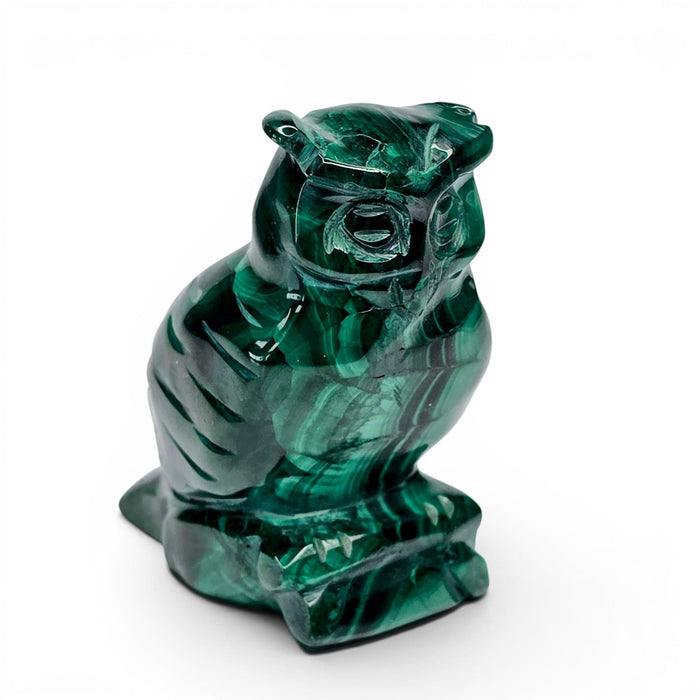 Malachite Owl