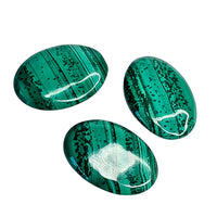 Malachite Palm Stone