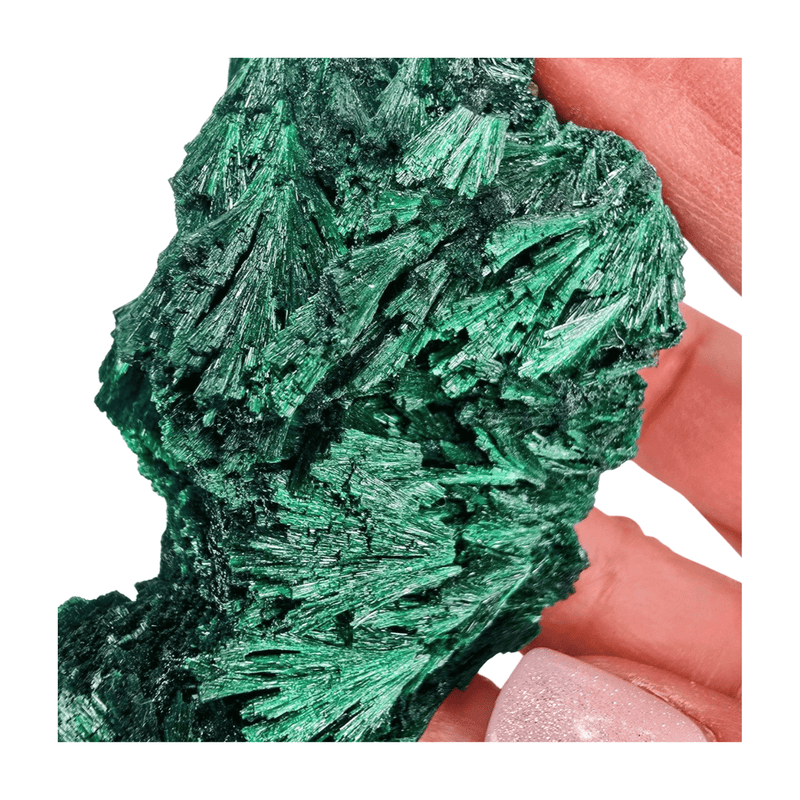 Malachite Druzy Specimen
