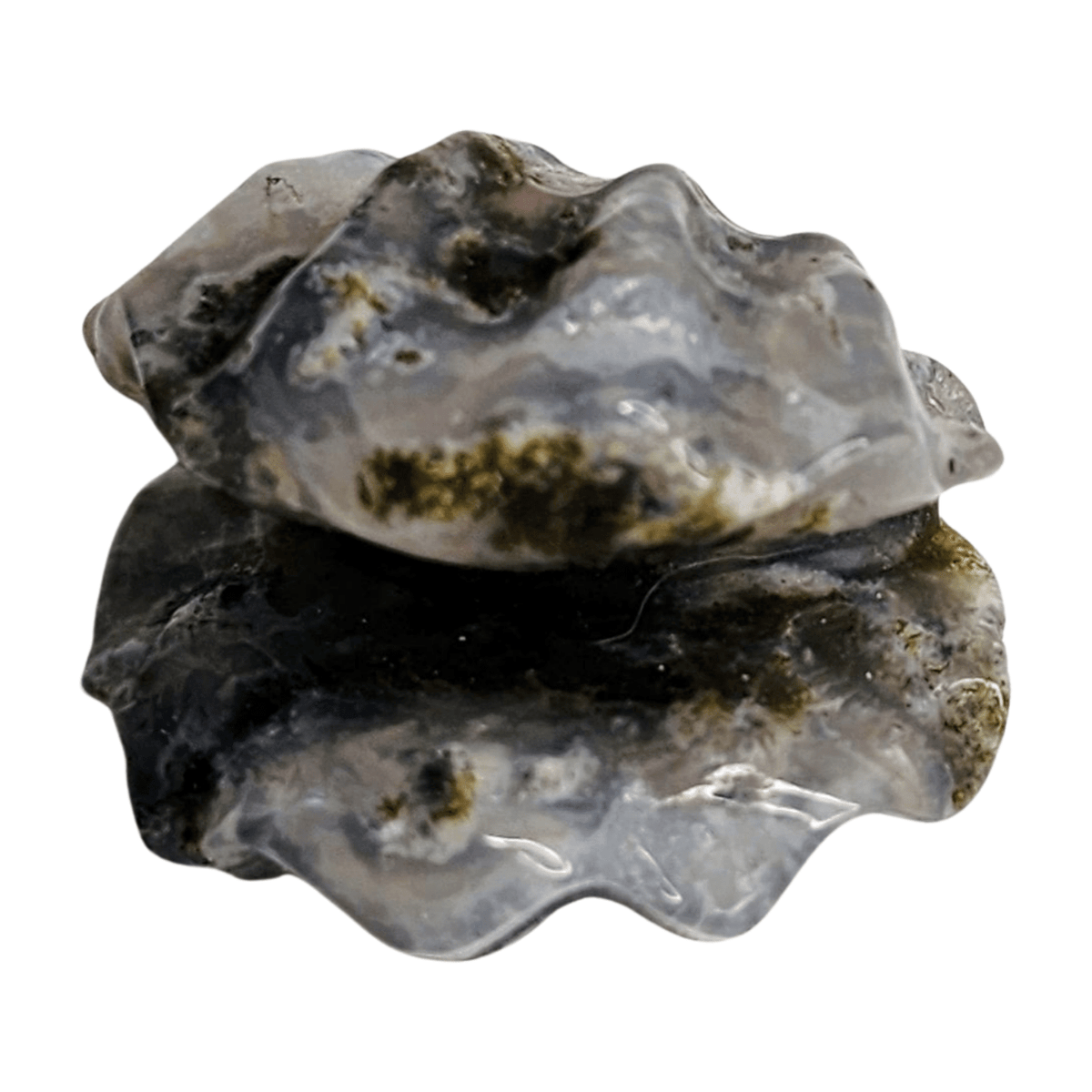 Moss Agate Shell