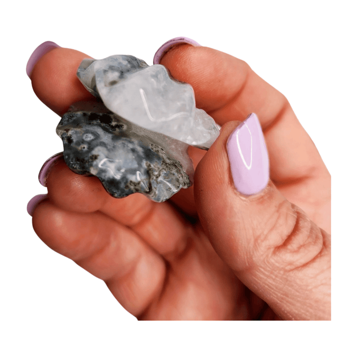 Moss Agate Shell