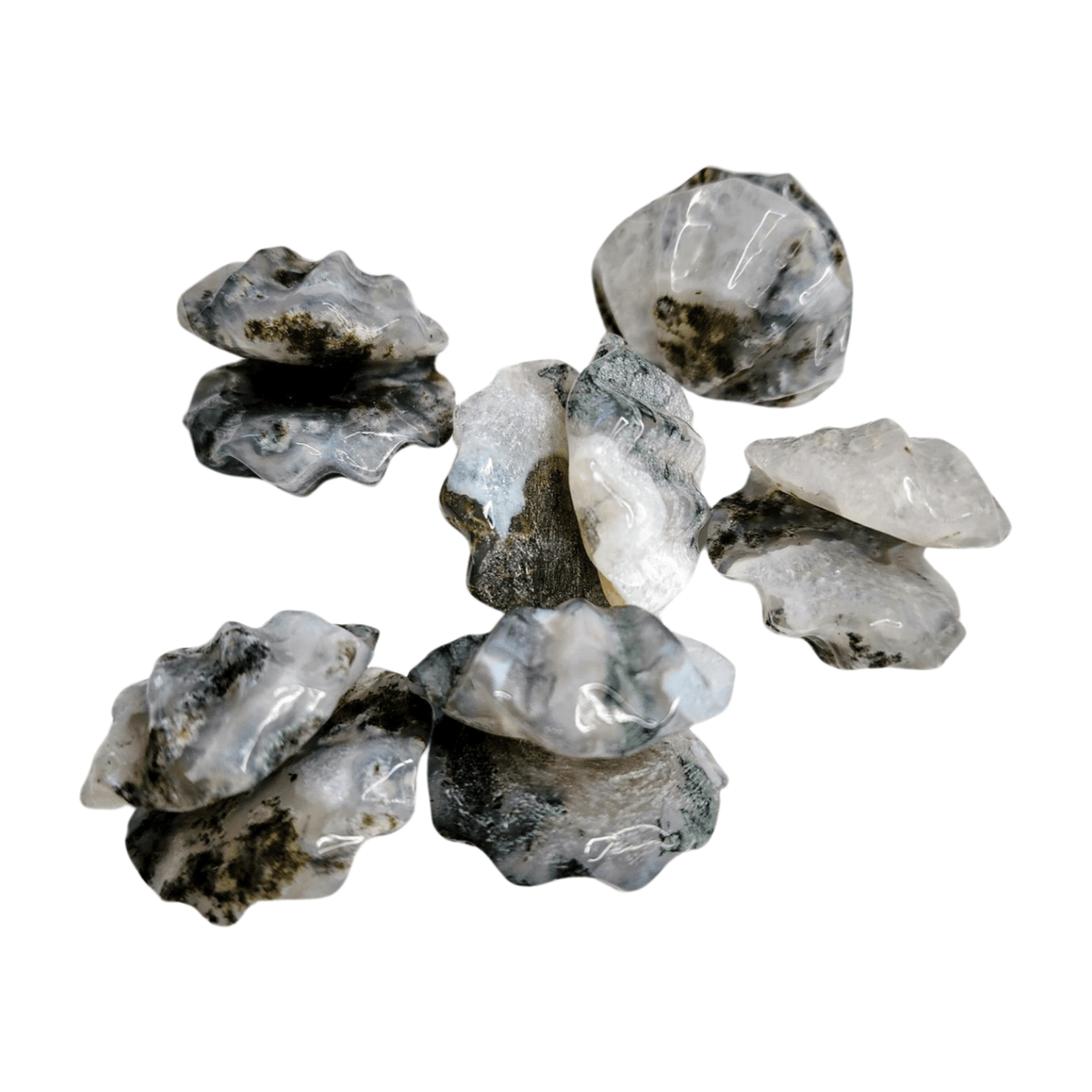 Moss Agate Shell