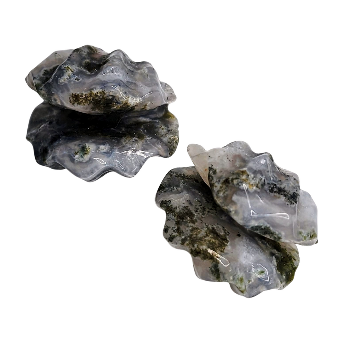 Moss Agate Shell