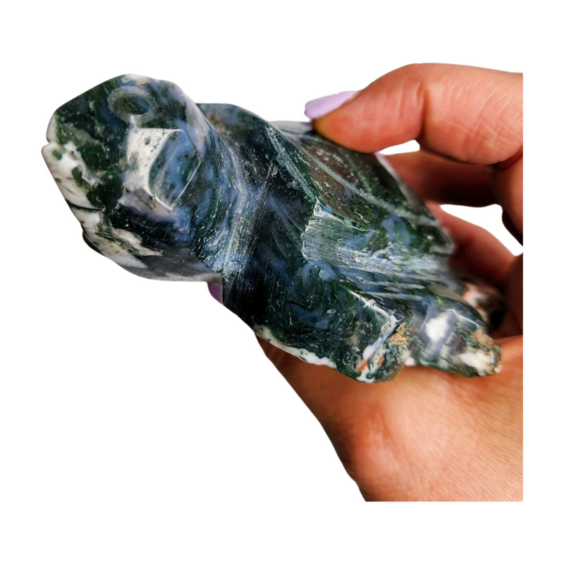 Moss Agate Turtle - Large