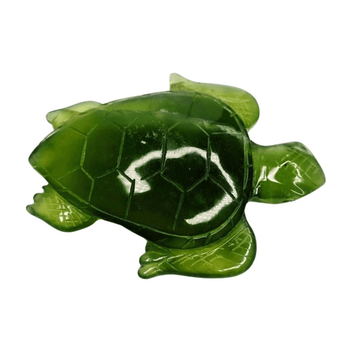 New Jade Turtle