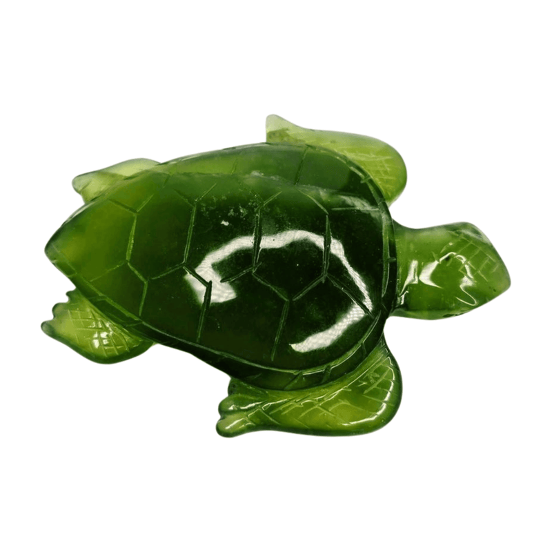 New Jade Turtle