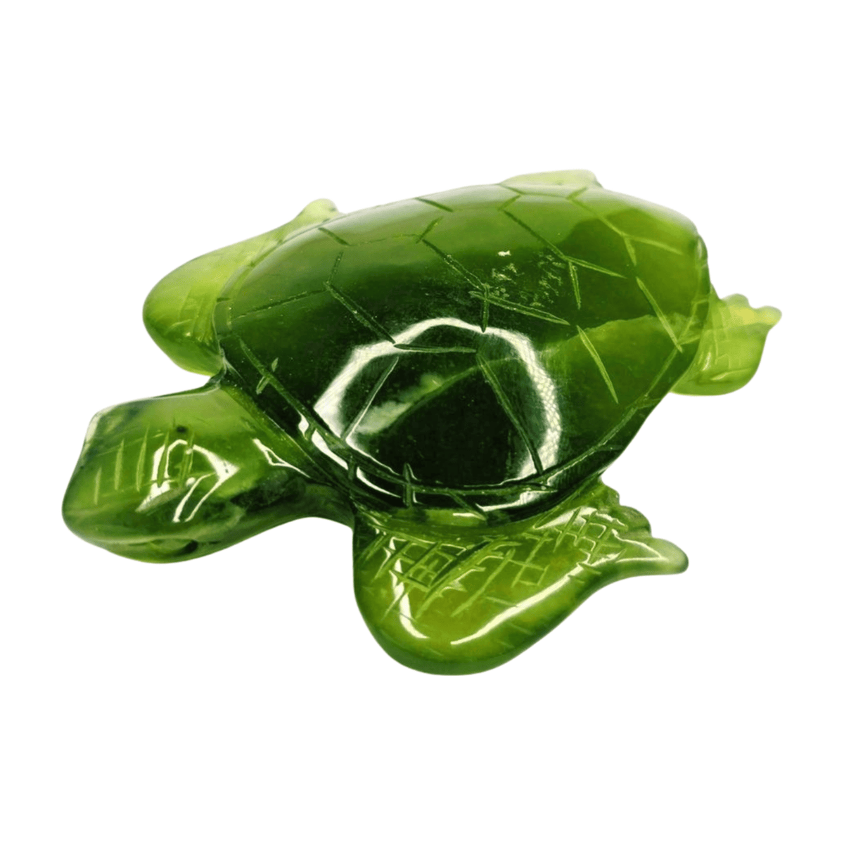 New Jade Turtle