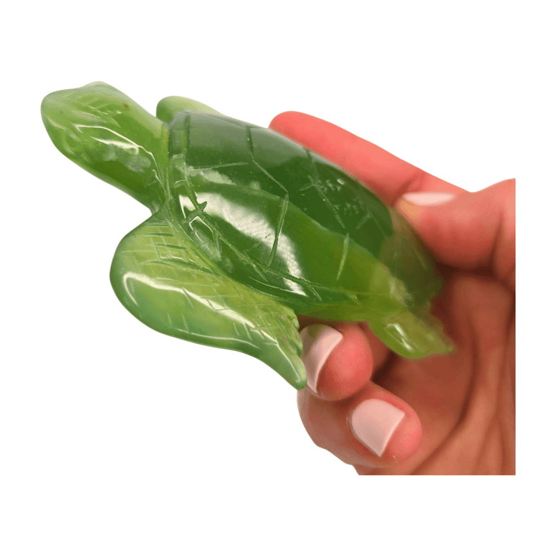 New Jade Turtle