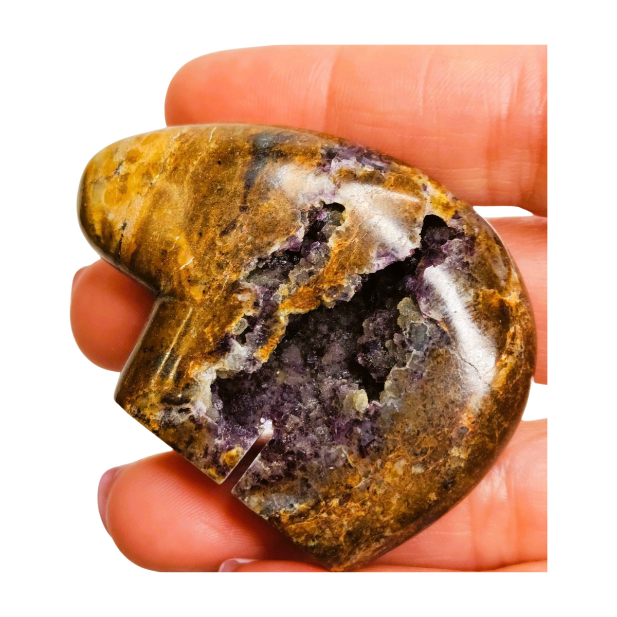 New Mexico Agate with Amethyst Druzy Bear