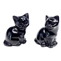 Obsidian Cat