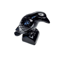 Obsidian Crow