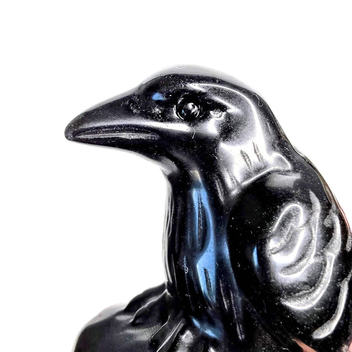 Obsidian Crow