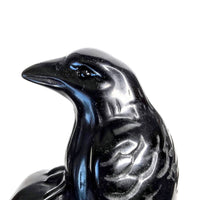Obsidian Crow