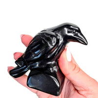 Obsidian Crow