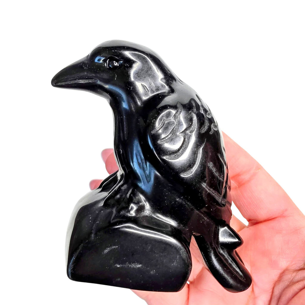 Obsidian Crow